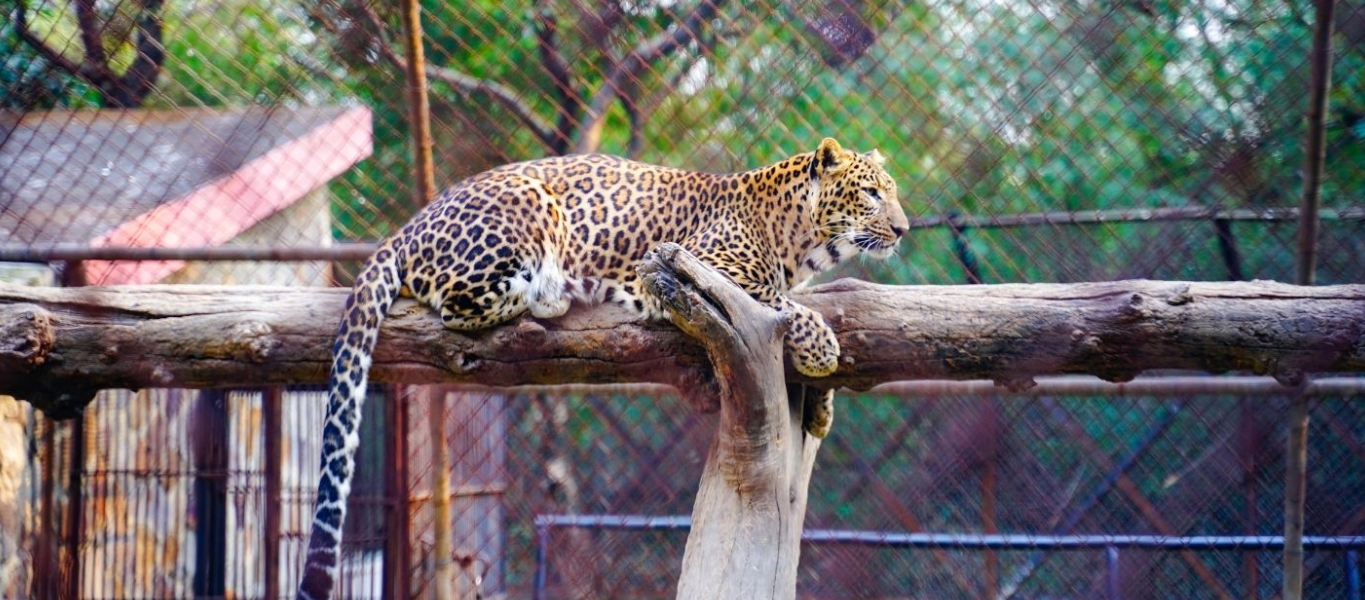 Jaipur to Delhi Distance & Road Trip Guide