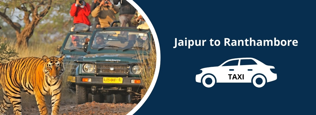 Innova Crysta Rental Jaipur